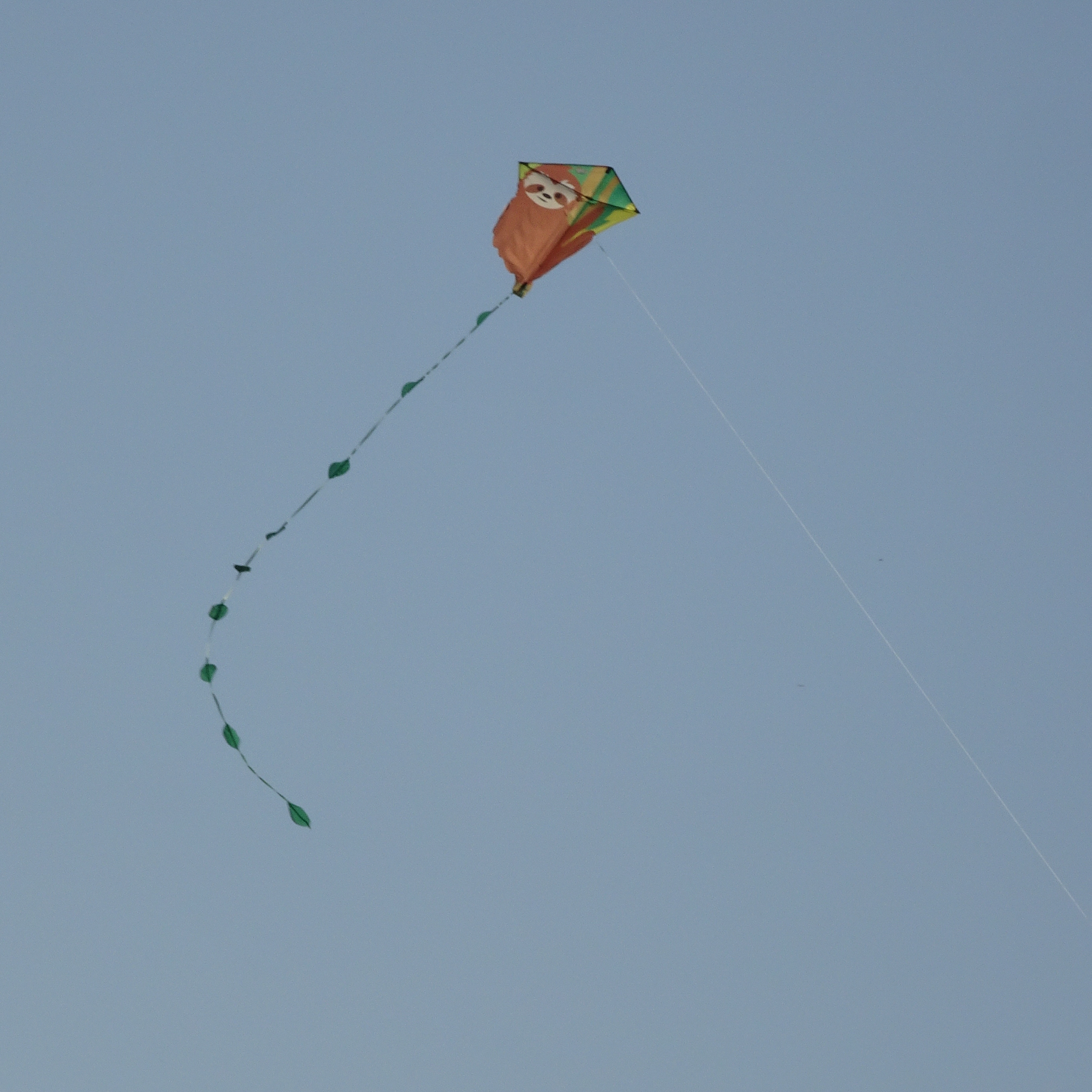 A red kite in the sky.
