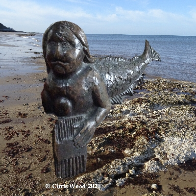 Photomontage of the mermaid bench end carving from Upper Sheringham church resting on the chalk reef at West Runton.