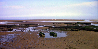The second timber ring at Holme, showing the remains of the palisade and the central logs, with the shoreline behind.