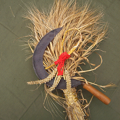 A Lammas altar with sheaf of barley, a favour of wheat and sickle.