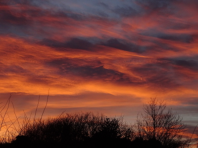 Dragon in sunset clouds over Walsingham in February 2019.