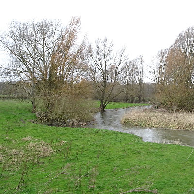 The river Yare near the university, meandering between trees with a grassy bank in the foreground.